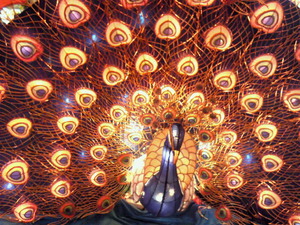201002202138000.jpg